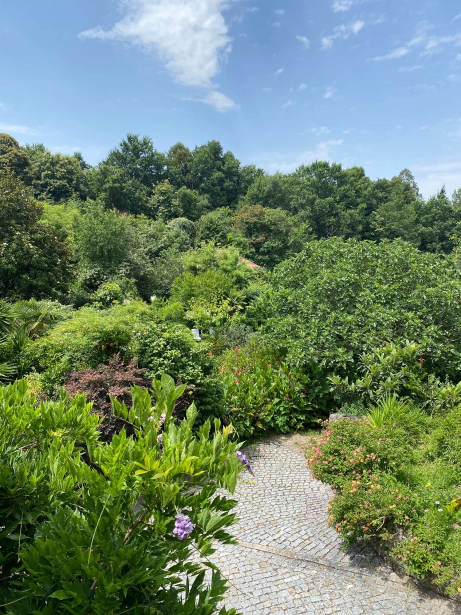 Quinta De Ribas Villa อามารังติ ภายนอก รูปภาพ