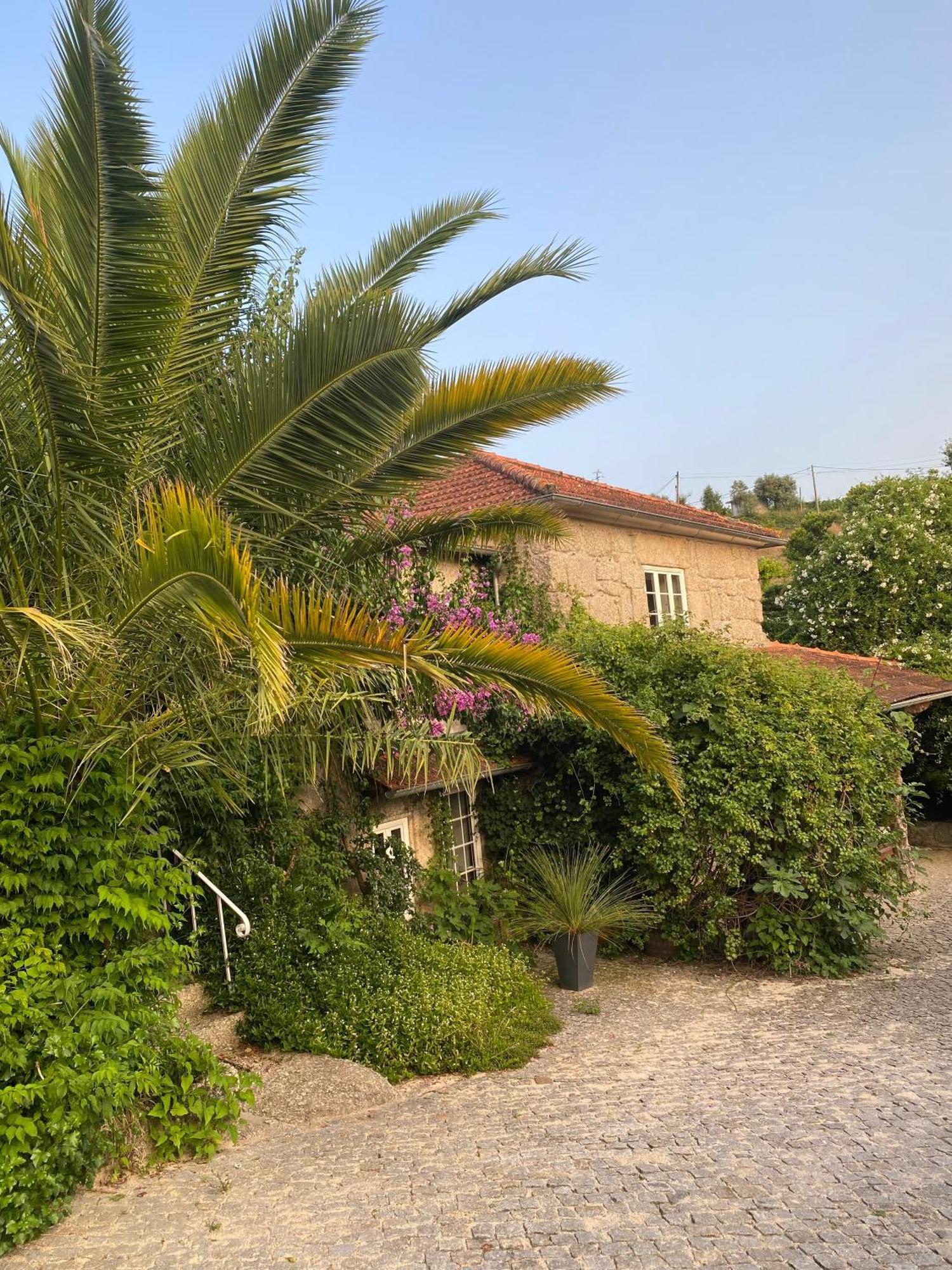 Quinta De Ribas Villa อามารังติ ภายนอก รูปภาพ
