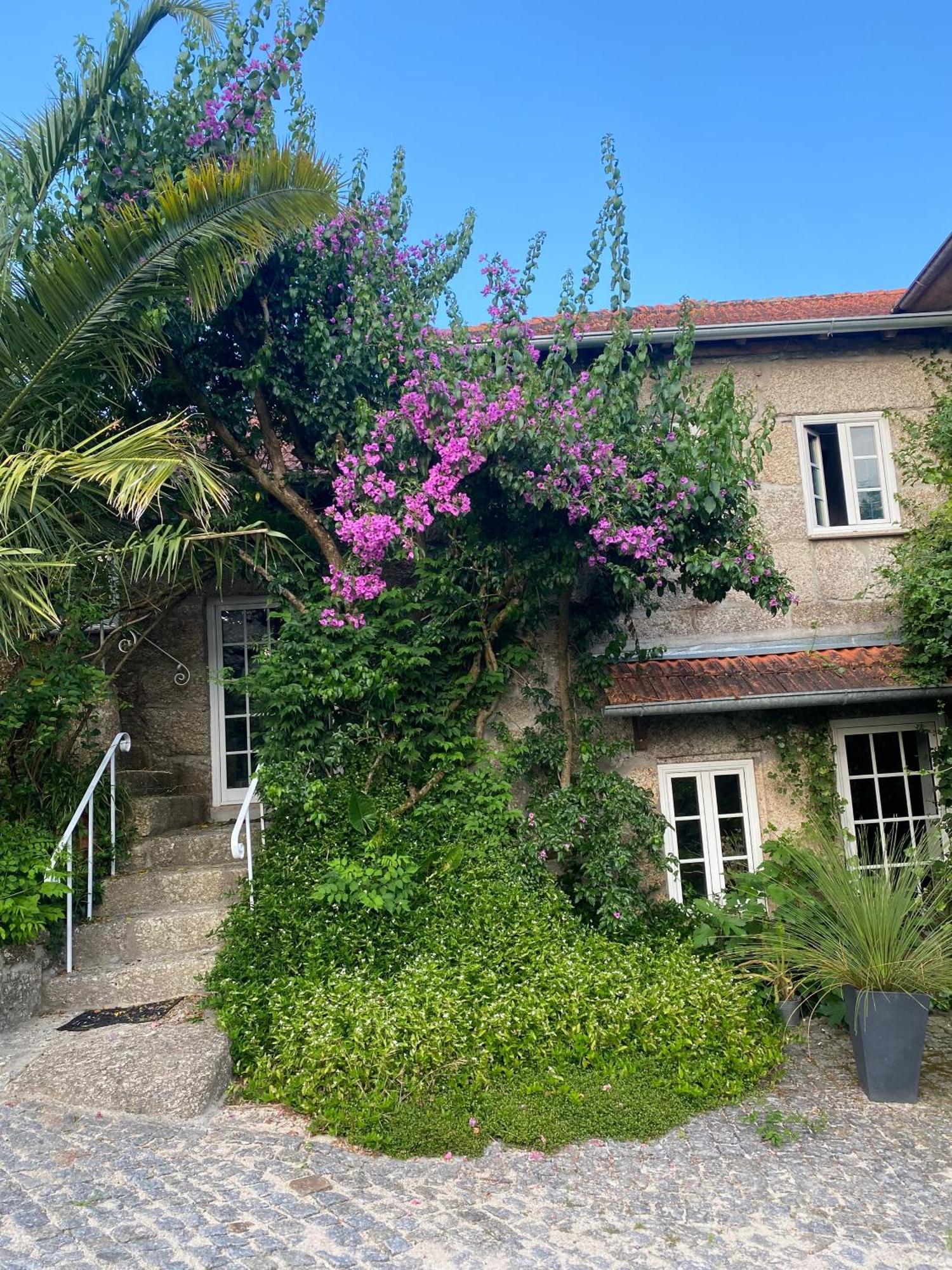 Quinta De Ribas Villa อามารังติ ภายนอก รูปภาพ