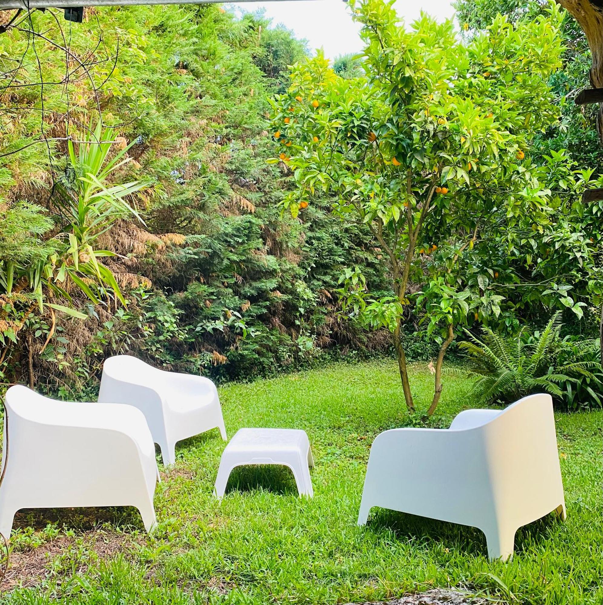 Quinta De Ribas Villa อามารังติ ภายนอก รูปภาพ